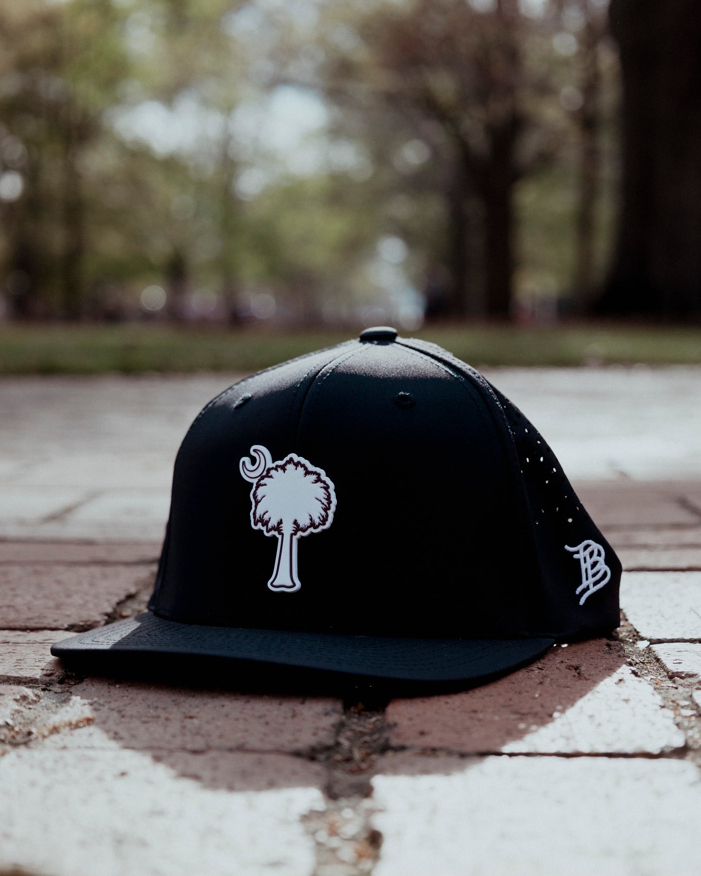 The Palmetto Performance Hat