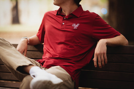 The Rooster Polo